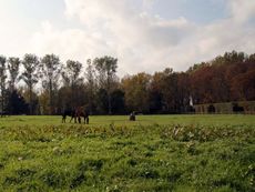 B-Herbststimmung 012.jpg